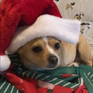 Meet your Posher, Johnny